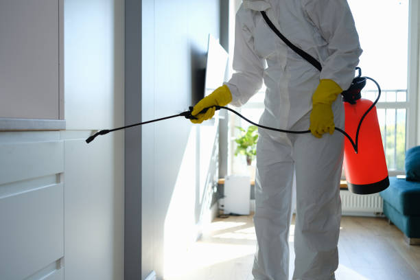 Certified Mold Removal in Cambridge, OH