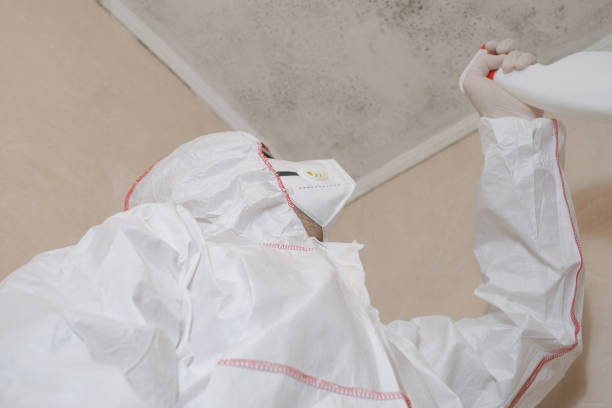 Best Certified Mold Removal  in Cambridge, OH